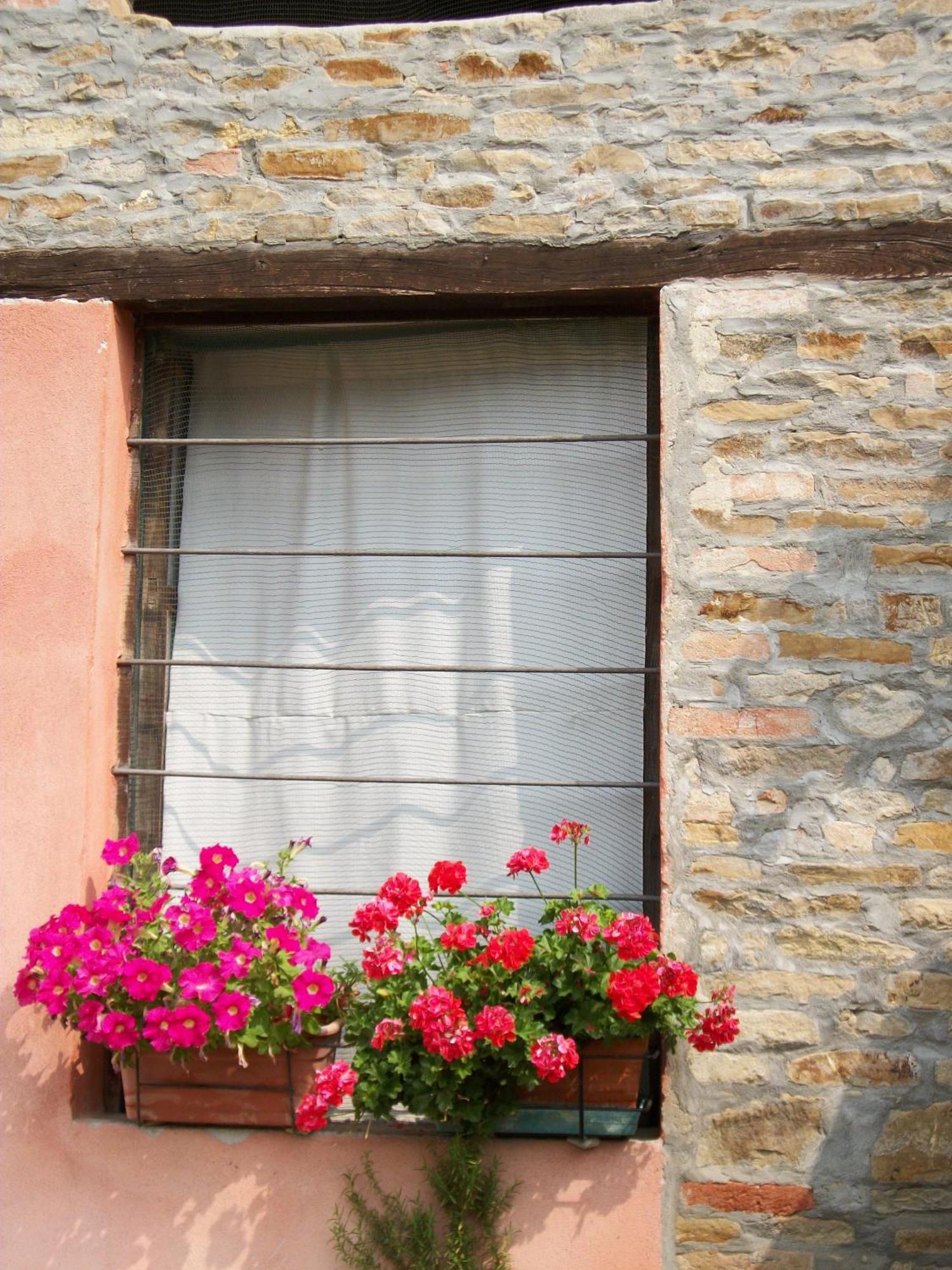 Agriturismo Cà Trinche Camo Exterior foto